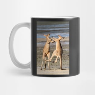 Boxing Kangaroos, Toorbul, Queensland Mug